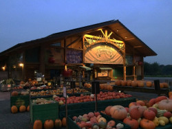 Bild Buchholzhof in Mülheim