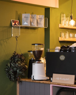 Bild Cafe Bauchgefuehl in Köln