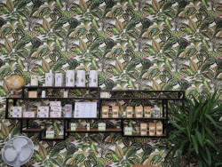 Bild Sevran Kilinc von Cannapara in Mülheim an der Ruhr im Interview