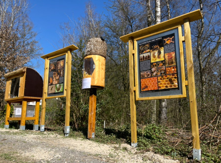 Die NeanderBiene in Erkrath