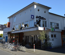 Bild Bioladen Momo und Bistro Odeon in Bonn