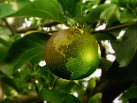 Nachhaltigkeit in der Gastronomie - Gewinn für alle