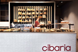 Bild cibaria in Münster