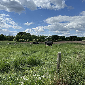 Impression der Tour, Bild 8