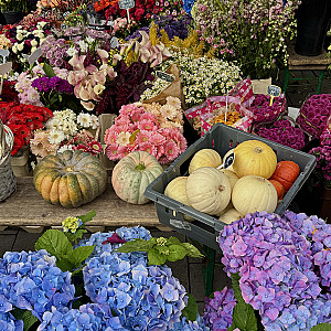 Impression der Tour, Bild 7