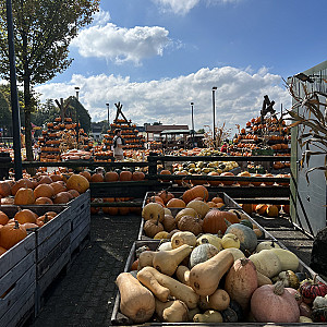 Impression der Tour, Bild 10