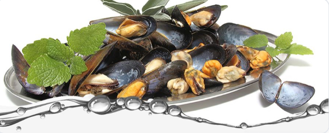 Titelbild des Unternehmens: Fisch Wilken in Duisburg