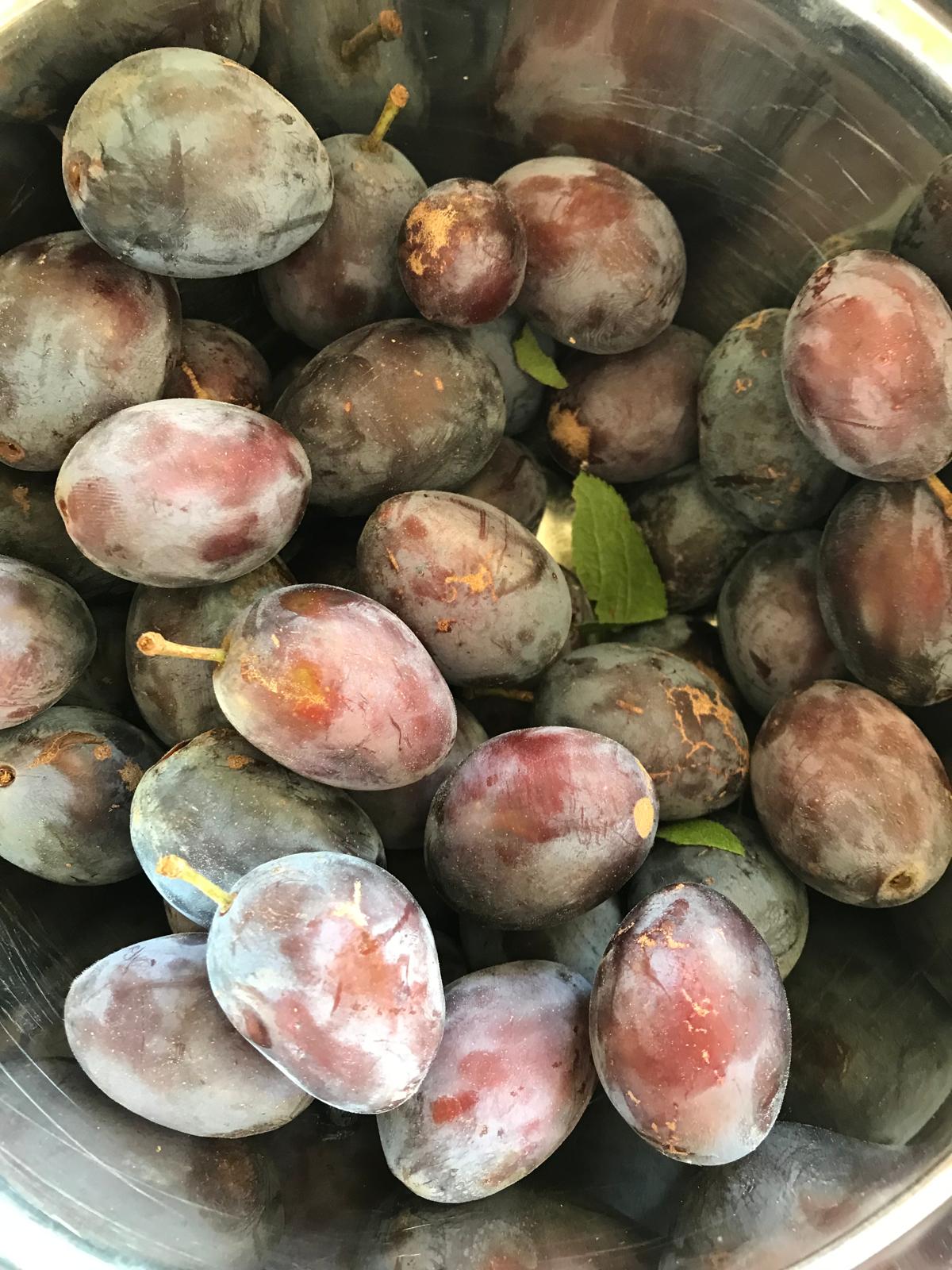 Ein zweites Bild des Unternehmens: Bittermärker Sonnenschein in Dortmund