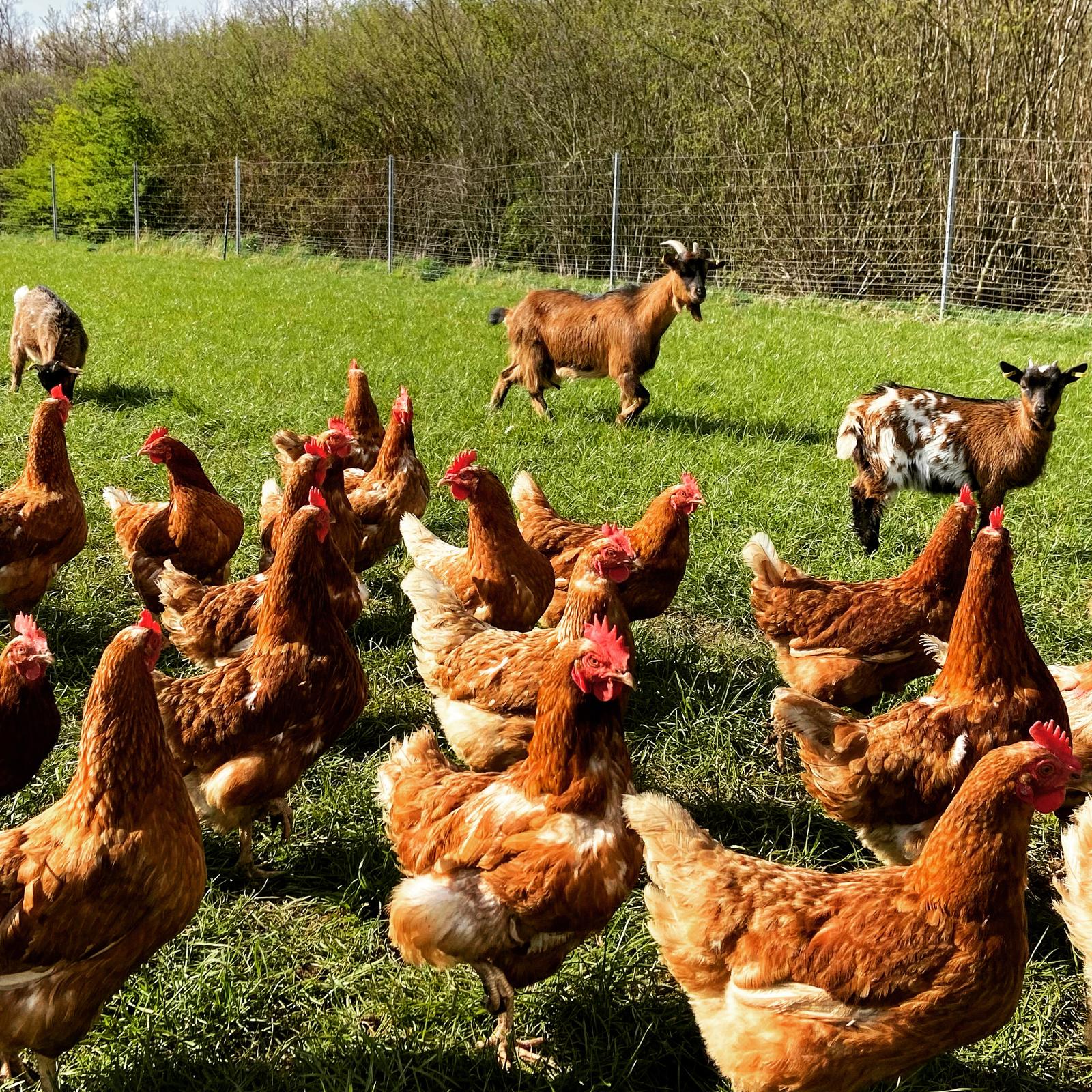 Titelbild des Unternehmens: Gut Kaiserhof in Düsseldorf
