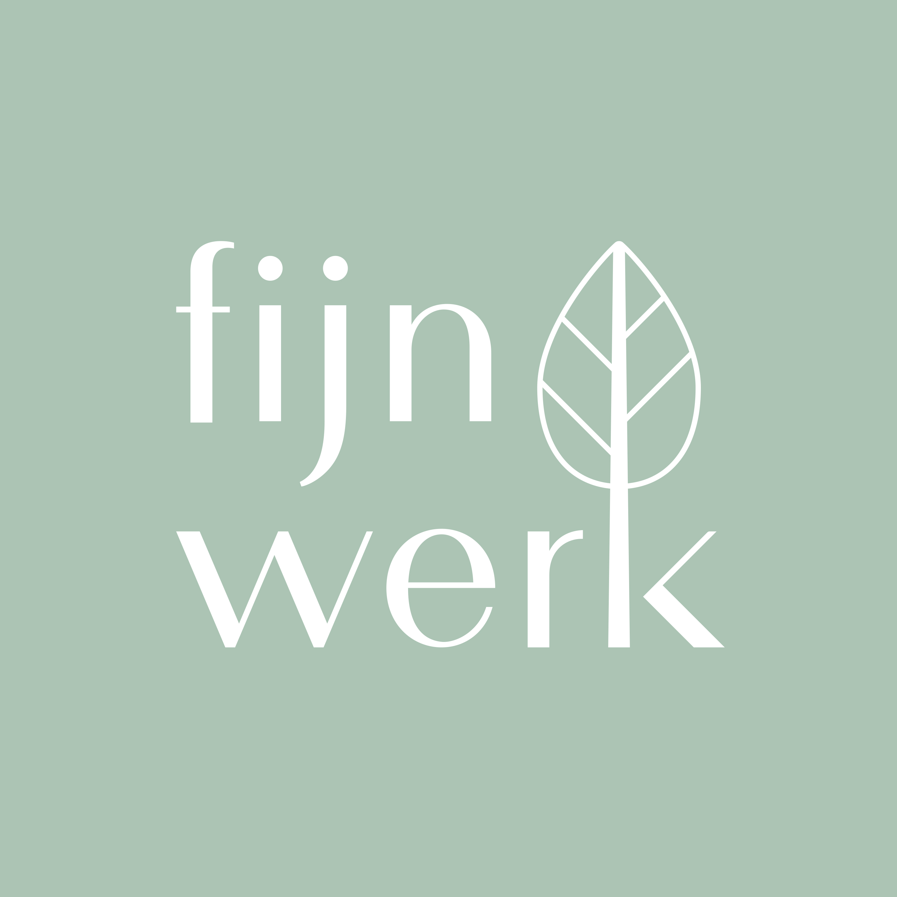 Logo des Unternehmens: fijnwerk Concept Store in Ratingen