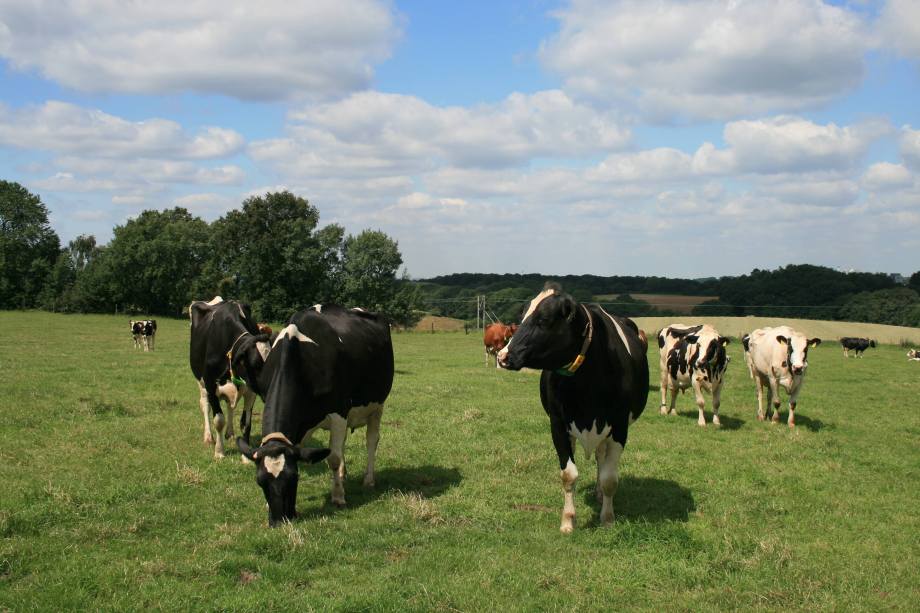 Titelbild des Unternehmens: Bauernladen Gut Ellscheid in Haan