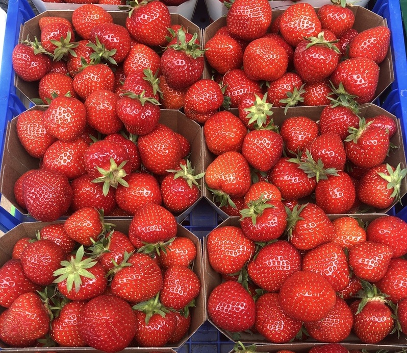 Erdbeeren