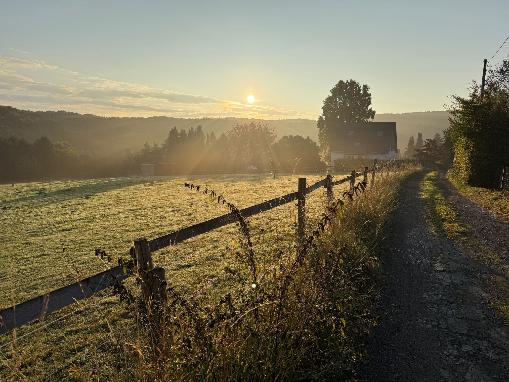 Titelbild des Unternehmens: Bittermärker Sonnenschein in Dortmund